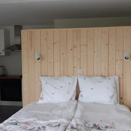 Apartament Terrasses De F&l Triplex 214 Et 320 Et 317 Et Superieur 340 *