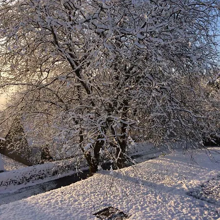 Terrasses De F&l Triplex 214 Et 320 Et 317 Et Superieur 340 *