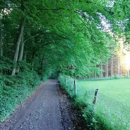 Terrasses De F&l Triplex 214 Et 320 Et 317 Et Supérieur 340 *