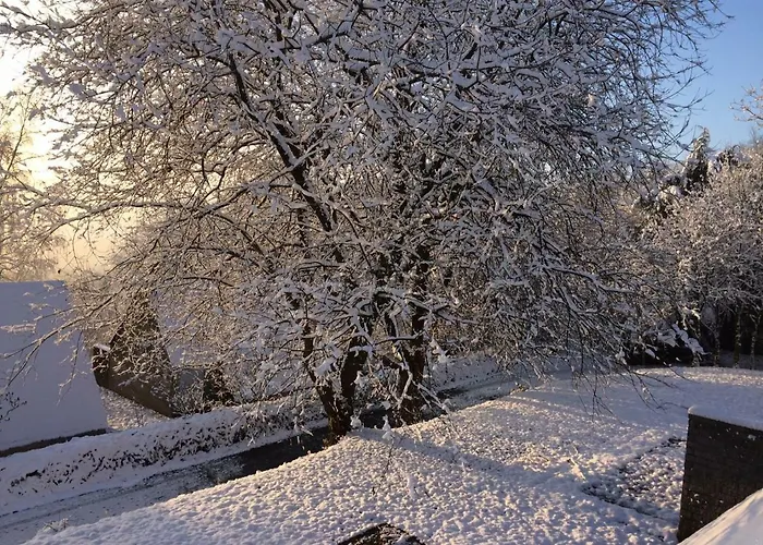 Terrasses De F&l Triplex 214 Et 320 Et 317 Et Superieur 340 *