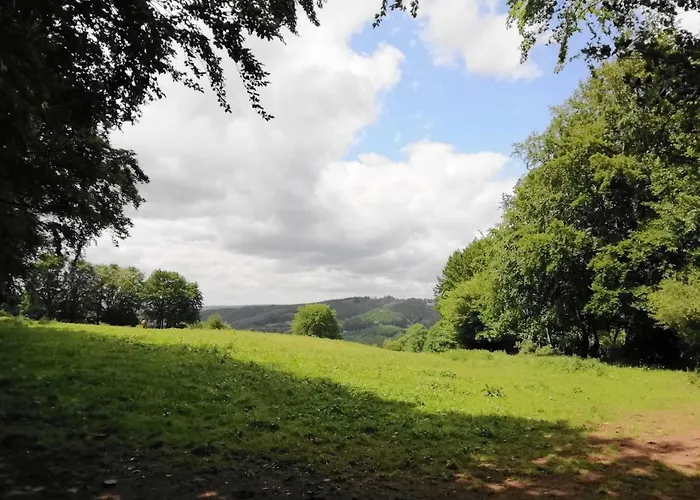 Terrasses De F&l Triplex 214 Et 320 Et 317 Et Superieur 340