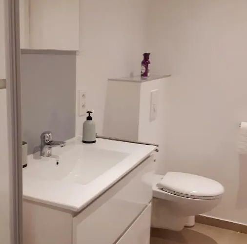 Appartement Terrasses De F&l Triplex 214 Et 320 Et 317 Et Superieur 340 *