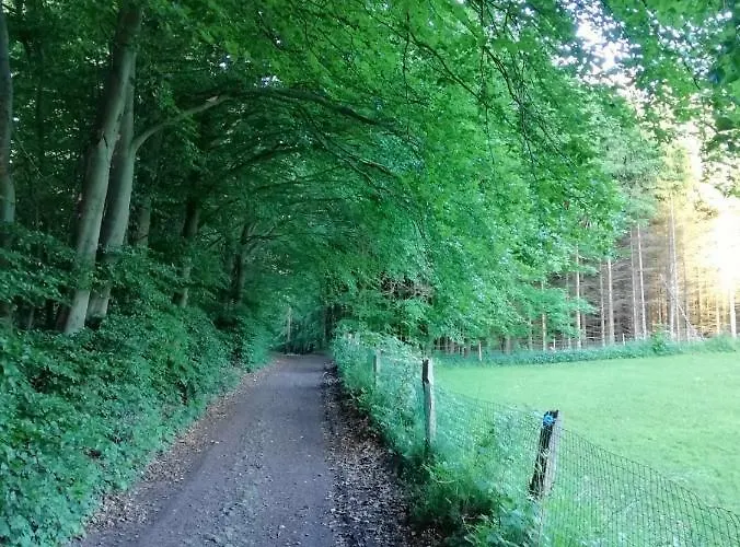 Terrasses De F&l Triplex 214 Et 320 Et 317 Et Superieur 340 *