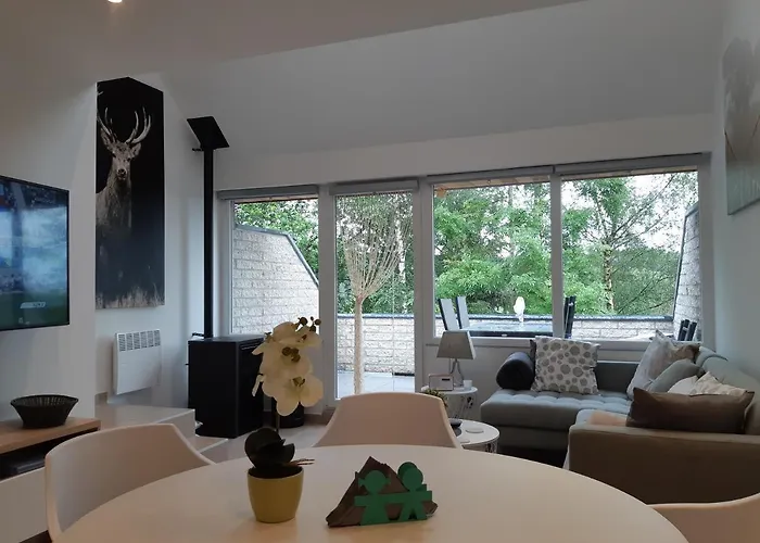 Appartement Terrasses De F&l Triplex 214 Et 320 Et 317 Et Superieur 340 Malmedy